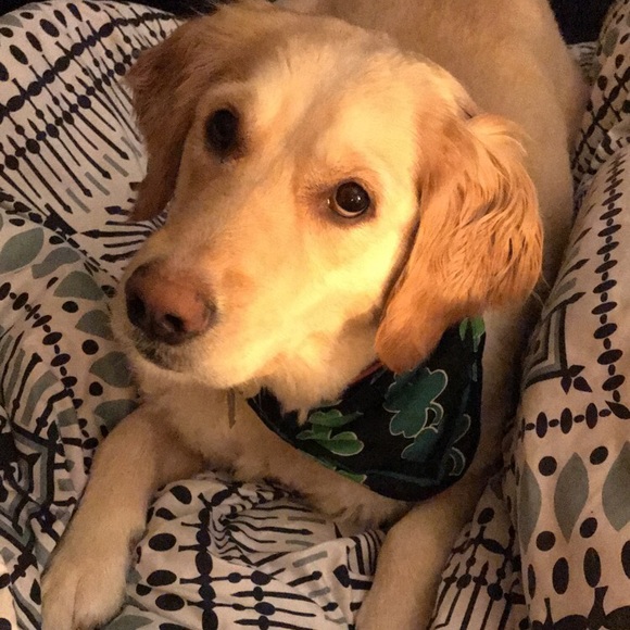 Meet your Posher, Nicole - Picture 6 of 8